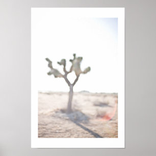 Poster Le Joshua Tree