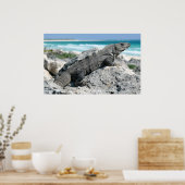 Poster Le Jour De L'Iguana (Cuisine)