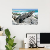 Poster Le Jour De L'Iguana (Bureau à domicile)