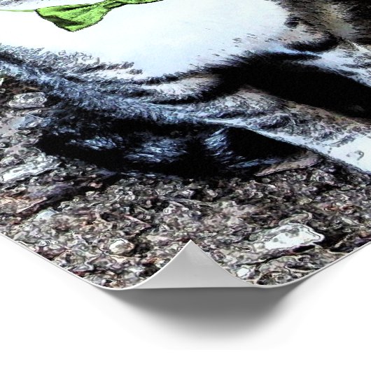 POSTER LE JOUR DE SAINT PATRICK CAT WITH GREEN IRISH (Coin)