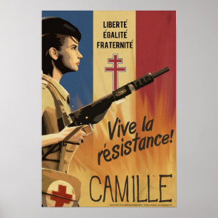 Poster Le jour J de Dino : Camille