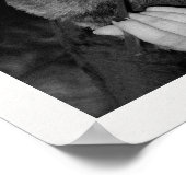 Poster Le journal Fifty Times 50e anniversaire (Coin)