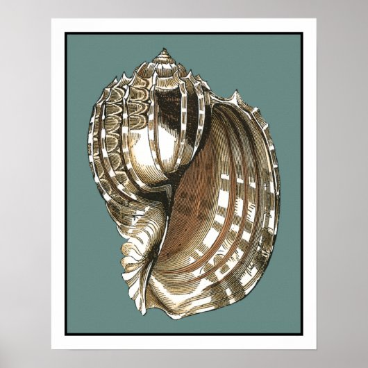 Poster Le joyau de l'océan (Devant)