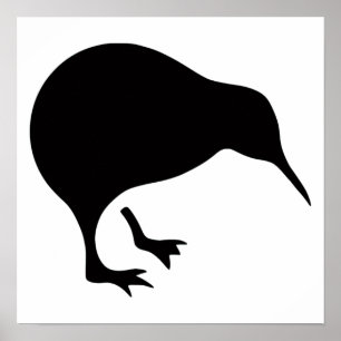 Poster Le kiwi tous les noirs et tous les blancs Nouvelle