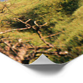 Poster Le lac...... (Coin)