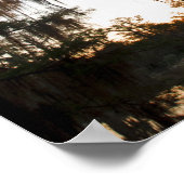 Poster Le lac Caddo au lever du soleil (Coin)