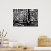 Poster Le lac Cypress en noir et blanc (Cuisine)