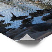 Poster Le lac de Grenade à Phoenix, Arizona (Coin)