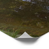 Poster Le lac Forestier (Coin)