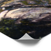 Poster Le lac George New York Paradise Bay (Coin)