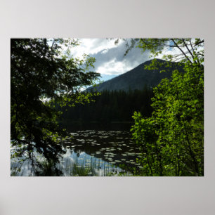 Poster Le lac Johns I au parc national de Glacier