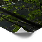 Poster Le lac Johns II du parc national Glacier (Coin)