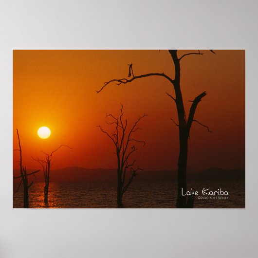 Poster Le lac Kariba (Devant)