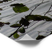 Poster Le lac Léman à l'automne (Coin)