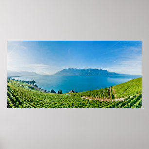 Poster Le Lac Léman (laque Léman) 017