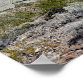 Poster Le lac Mead Nevada (Coin)