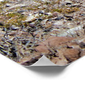 Poster Le lac Mead Nevada (Coin)