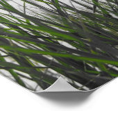 Poster Le lac Michigan derrière l'herbe (Coin)