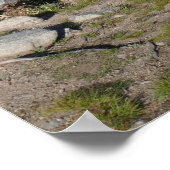 Poster Le lac Sprague II du parc national Rocky Mountain (Coin)