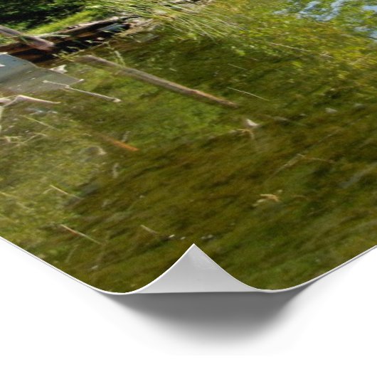 Poster Le lac Temagami (Coin)