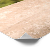 Poster le lampadaire gargoyle devant le beast casle (Coin)