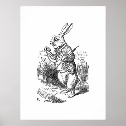 Poster Le lapin blanc (Devant)