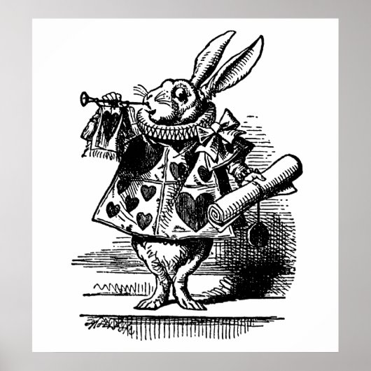 Poster Le lapin blanc (Devant)