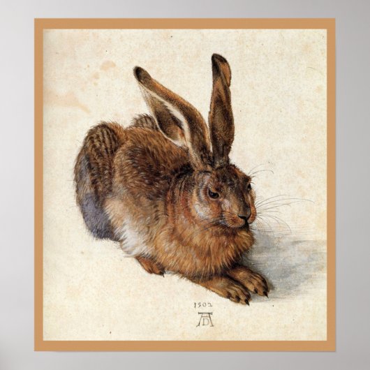 Poster LE LAPIN ( Jeune Lièvre ) (Devant)