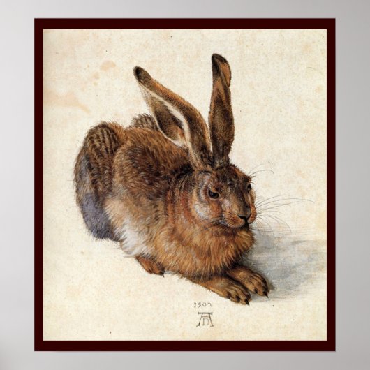 Poster LE LAPIN ( Jeune Lièvre ) (Devant)