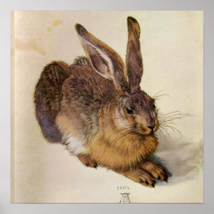Poster LE LAPIN ( Jeune Lièvre )