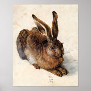 Poster LE LAPIN ( Jeune Lièvre )