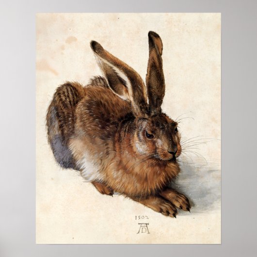 Poster LE LAPIN ( Jeune Lièvre ) (Devant)