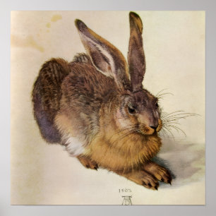 Poster LE LAPIN ( Jeune Lièvre )