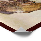 Poster LE LAPIN ( Jeune Lièvre ) (Coin)