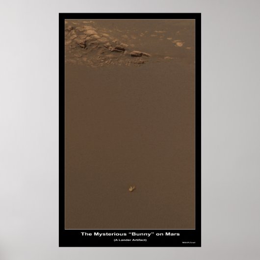 Poster Le lapin sur Mars - Qu'est-ce que c'est ? (Devant)