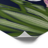 Poster Le léopard dans le jardin des fleurs (Coin)