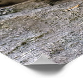 Poster Le léopard des neiges le félin phare (Coin)