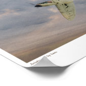 Poster Le lever du jour (Coin)