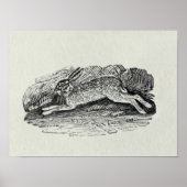 Poster Le lièvre (Devant)