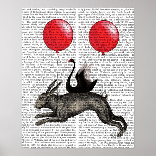 Poster Le lièvre (Devant)