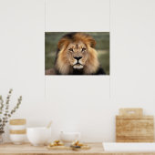 Poster Le Lion (Cuisine)