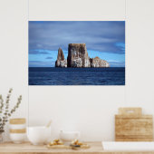 Poster Le lion (Cuisine)