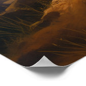 Poster Le lion au coucher du soleil (Coin)