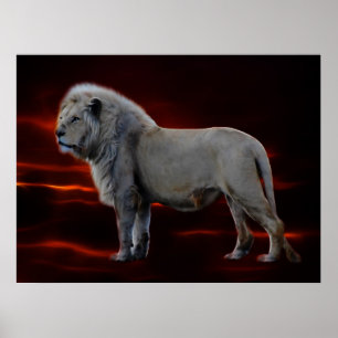 Poster Le lion blanc
