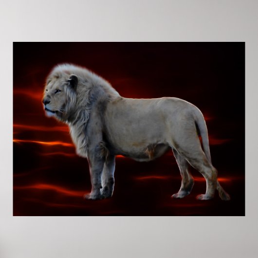 Poster Le lion blanc (Devant)