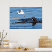 Poster Le lion de mer et l'aigrette blanche (Cuisine)