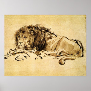 Poster LE LION DU CAP ALLONGÉ, par Rembrandt Sépia, Noir