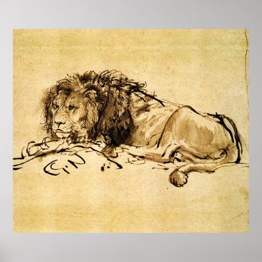 Poster LE LION DU CAP, par Rembrandt Sepia, Black (Devant)