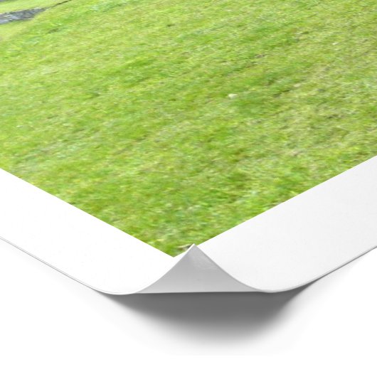 Poster le llama regarde la frontière (Coin)