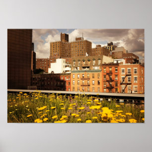 Poster Le long de la High Line, Small